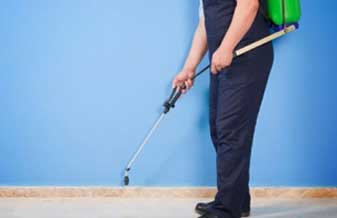 Dedetizadora e Conservadora Support - Foto 1