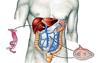 Ramon de Barros Carvalho - Foto 1