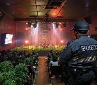 maconha