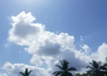 previsão do tempo em Coronel Fabriciano