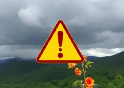 Últimas noticias de Coronel Fabriciano