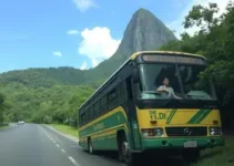 ônibus tomba na Serra dos Cocais