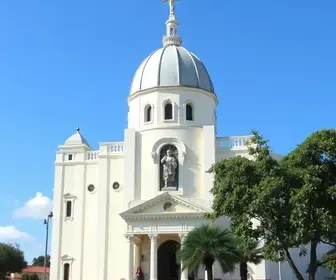 Dom Francisco Cota